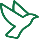 Logo Aborto Ecuador